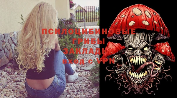 mdma Новодвинск