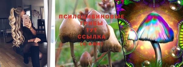 mdma Новодвинск