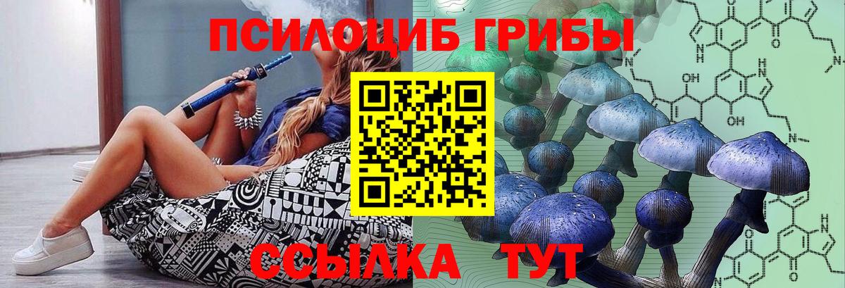 Галлюциногенные грибы GOLDEN TEACHER  Вход с VPN  Челябинск 